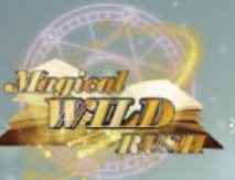 Magical Wild Rush 図柄