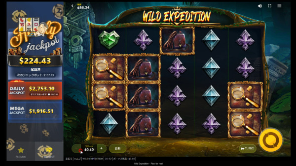 Wild Expedition 筐体